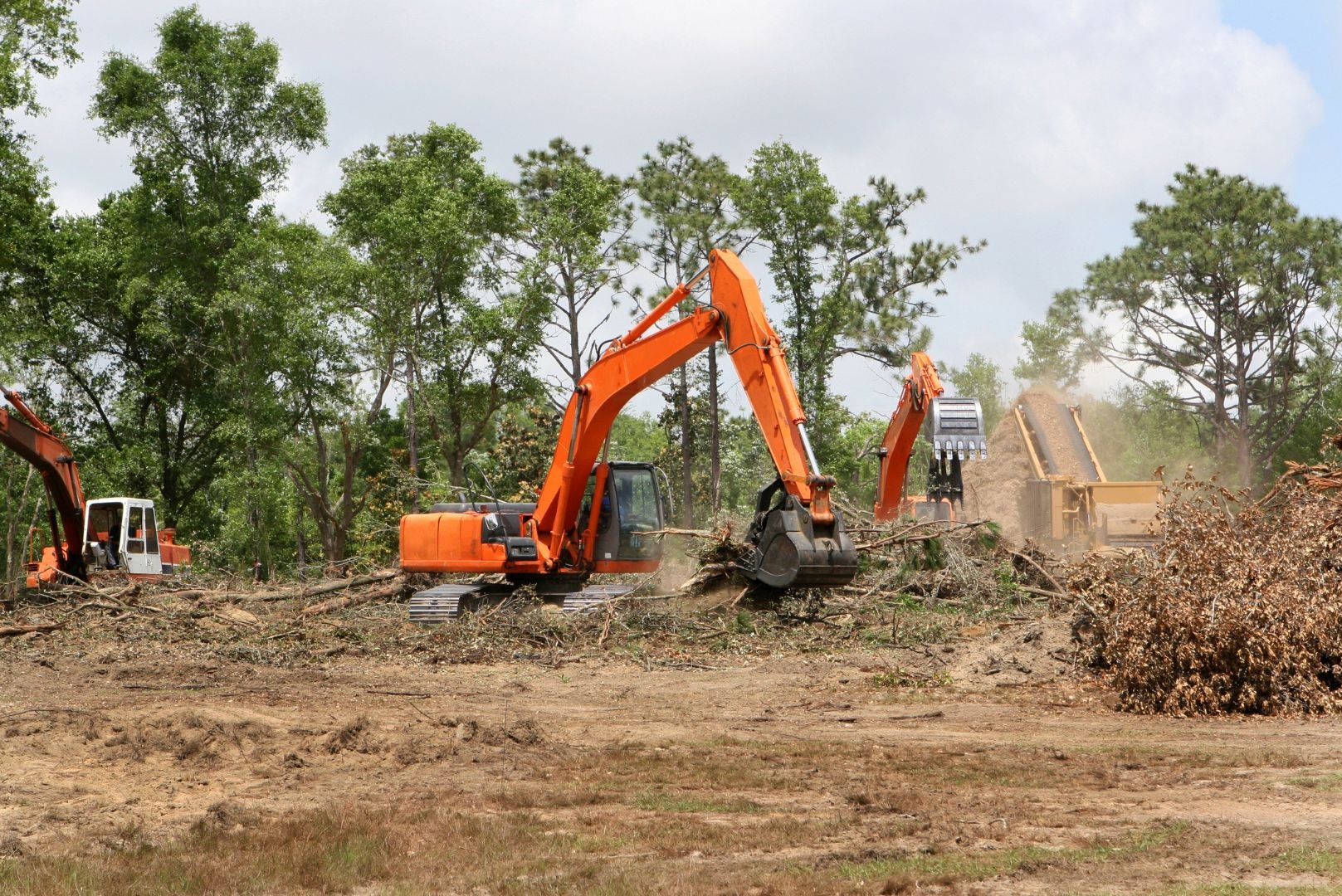 Site Preparation and Clearing
